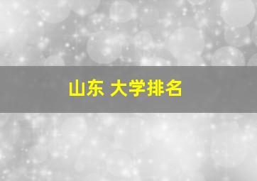 山东 大学排名